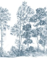Away From The Trail, Placid Blue - Panorama, Photowall