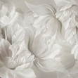 Grand Tulips III, Photowall