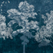 Grove - Blue, Photowall