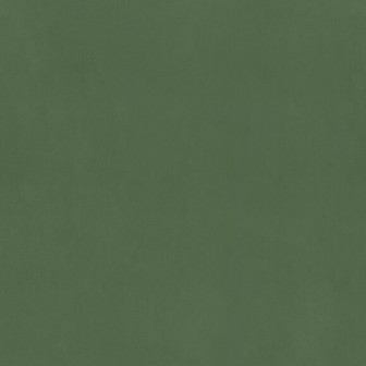 Solidum - Green, Photowall