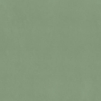 Solidum - Green Light, Photowall