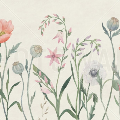 Fototapet floral cu maci și anemone în acuarelă