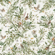 Playful Robins - White, Photowall
