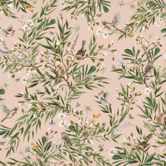 Playful Robins - Pink, Photowall