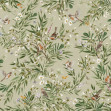 Playful Robins - Green, Photowall