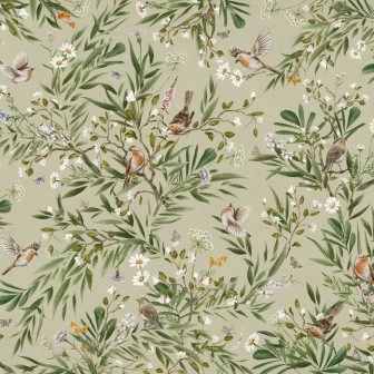 Playful Robins - Green, Photowall