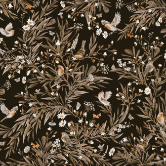 Playful Robins - Vintage - Black, Photowall