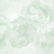 Peony - Green, Photowall