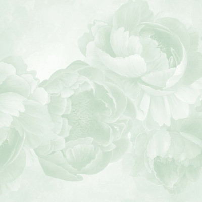 Peony - Green, Photowall
