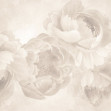 Peony - Beige, Photowall