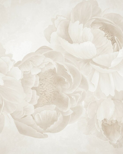 Fototapet floral cu bujori bej deschis