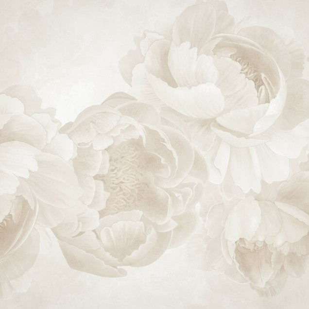Fototapet floral cu bujori bej deschis