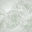 Peony - Light Green, Photowall