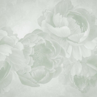 Peony - Light Green, Photowall