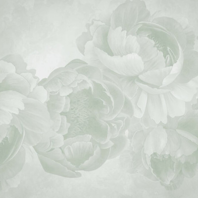 Peony - Light Green, Photowall