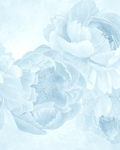 Fototapet floral cu pioni albastru deschis într-un interior modern