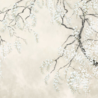 Blossom Wisteria - Beige, Photowall