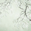 Blossom Wisteria - Green, Photowall