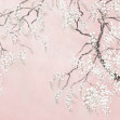 Blossom Wisteria - Pink, Photowall