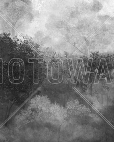 Romantic Landscape - BW, Photowall