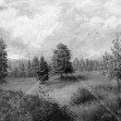 Lush Plants and Trees Landscape - BW, Photowall
