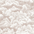 Cloudy Sky - Brown, Photowall
