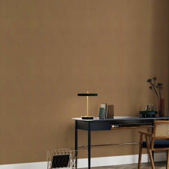 Fototapet uni teracota în decor de birou