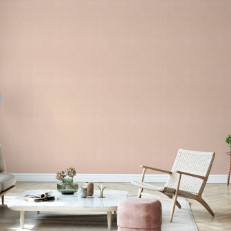 Living cu fototapet de culoare piersică