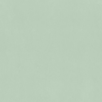 Solidum - Light Sage, Photowall