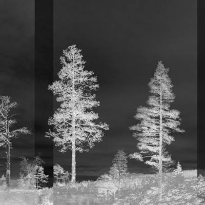 Tapet de perete Panorama Black cu design minimalist in nuante de gri si negru.