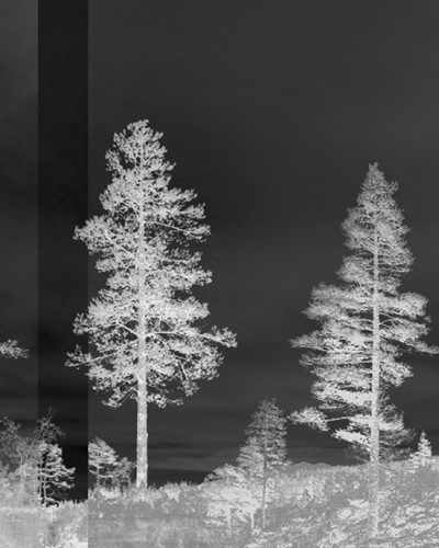Tapet de perete Panorama Black cu design minimalist in nuante de gri si negru.