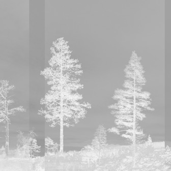 Fototapet Panorama, Dark Grey, Photowall