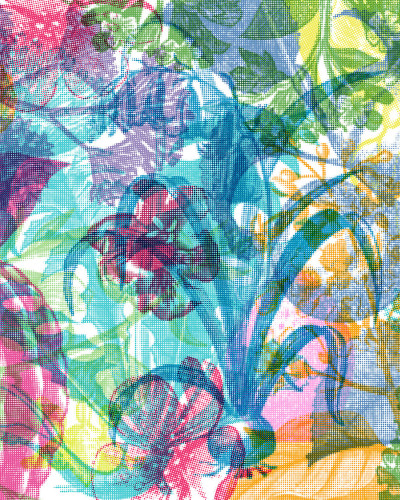 Jelly Belly Plants, Rebel Walls