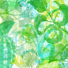 Fototapet Jelly Belly Plants, Green, personalizat, Rebel Walls