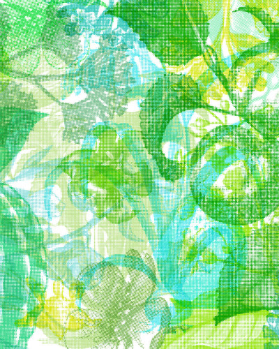 Jelly Belly Plants, Green, Rebel Walls