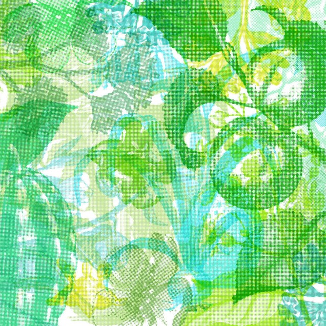 Tapet abstract verde cu imprimeu Jelly Belly Plants, aplicat in spatele unei mese de dining