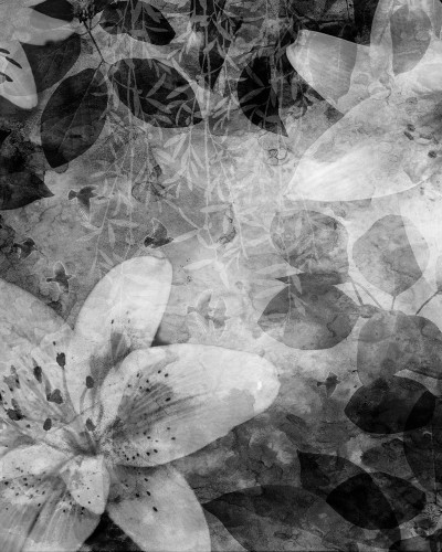Tapet floral abstract, Garden of Dreams, Black & White, design gri si alb, flori delicate