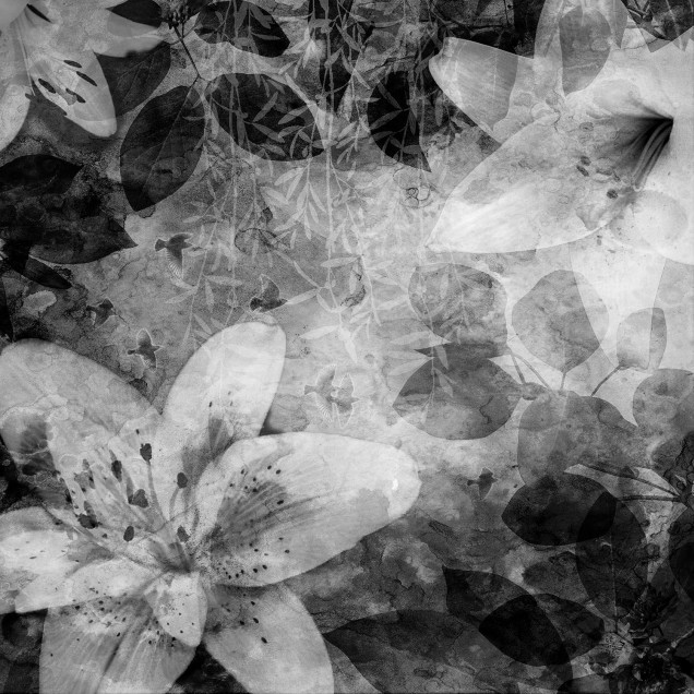 Tapet floral abstract, Garden of Dreams, Black & White, design gri si alb, flori delicate