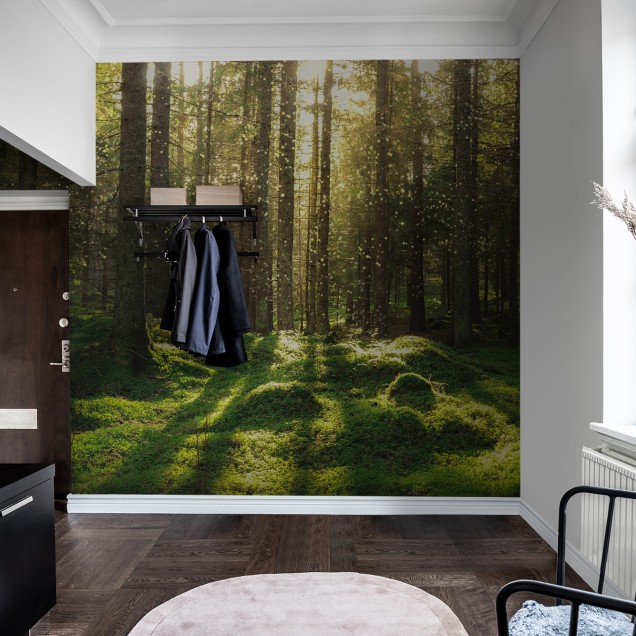 Tapet Forest Bath cu o imagine cu o pădure verde luxuriantă