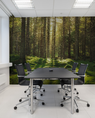 Tapet Forest Bath cu o imagine cu o pădure verde luxuriantă