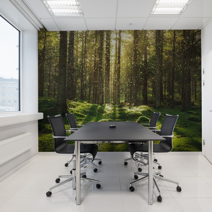 Tapet Forest Bath cu o imagine cu o pădure verde luxuriantă
