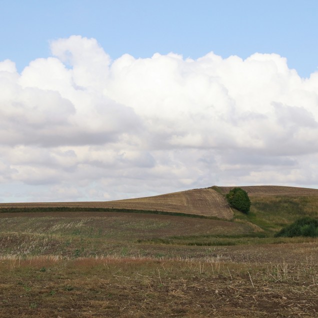 Tapet cu design Cropland, cu un peisaj liniștit cu dealuri verzi, cer senin și o senzație de calm și relaxare.