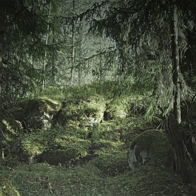 Imagine de fundal cu pădure, Virgin Forest