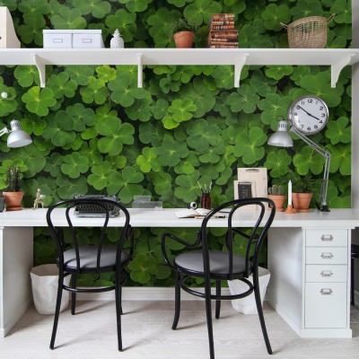 Tapet 3D cu trifoi verde, perfect pentru a crea o atmosferă relaxantă și vibrantă în casa ta.