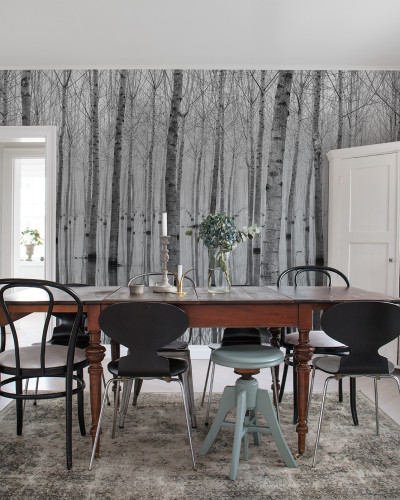 Tapet cu design monocrom al unei păduri de mesteceni în lumină slabă, tapetul este decorat cu o masă de dining și scaune, tapetul este aplicat pe un perete din spatele mesei de dining