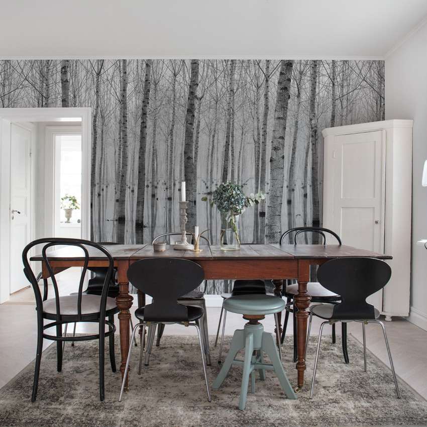 Tapet cu design monocrom al unei păduri de mesteceni în lumină slabă, tapetul este decorat cu o masă de dining și scaune, tapetul este aplicat pe un perete din spatele mesei de dining