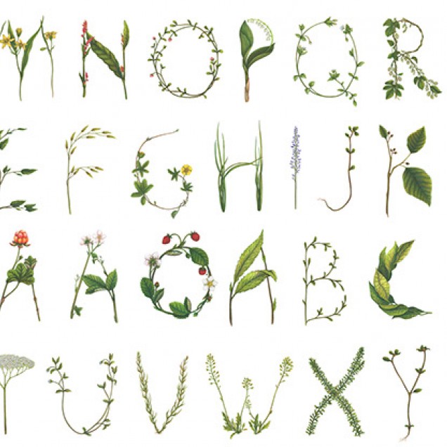 Tapet cu design floral si alfabet, in camera cu pat si o canapea.