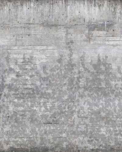 Tapet Climbing Clorofyl, Shadow - tapet cu model elegant de umbră de frunze pe beton.