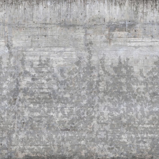 Tapet Climbing Clorofyl, Shadow - tapet cu model elegant de umbră de frunze pe beton.