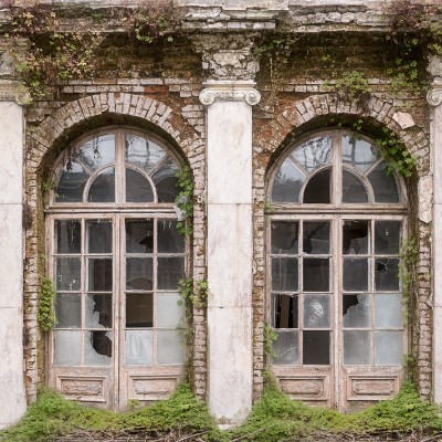 Tapet 3D Ruin Romance, care prezintă un perete cu ruine vechi, acoperite de vegetație, într-un spațiu modern.